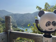 -鼎湖山风景区