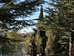 -龙口南山旅游景区