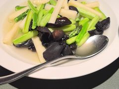 -老吉堂上海本帮菜(望京万象汇店)