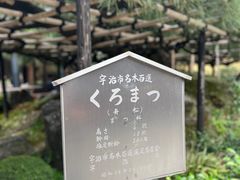 -中村藤吉(本店)