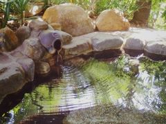 -厦门日月谷温泉渡假村