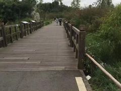 -白鹭湾湿地公园