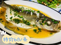 清蒸白鱼-京城小江南·北京烤鸭·江南土菜·白鱼(中关村店)