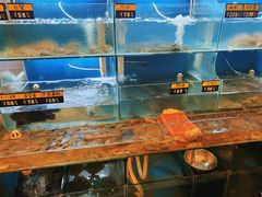 水产区-阿马蛋汤·宁波小海鲜(总店)