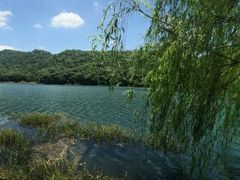 -石燕湖生态旅游景区