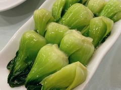 上海青-雪园上海饭店(港湾1号店)