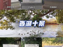 -杭州西湖博物馆总馆