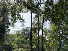 -广州市流溪河国家森林公园