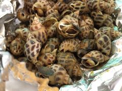 -南沙十九涌渔人码头-南门