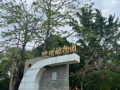 -柳州市动物园