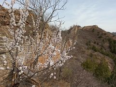 -蟠龙山长城景区