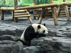 -秦皇岛野生动物园