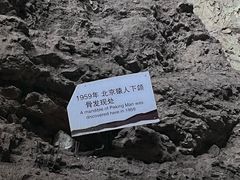 -周口店北京人遗址公园