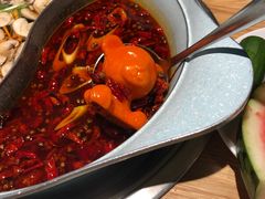 -青瓷火锅料理(西单大悦城店)