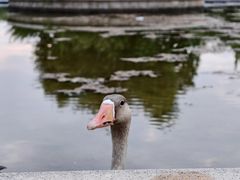 -西安浐灞国家湿地公园