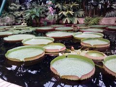 -华南国家植物园-售票处