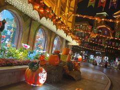 -郑州方特梦幻王国