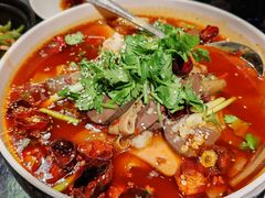 -四世同堂·京菜·烤鸭(双井店)