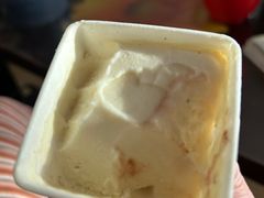 -野人先生现做冰淇淋(北京顺义祥云小镇店)