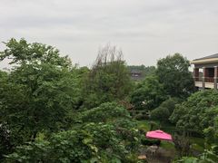-成都安仁福朋喜来登酒店