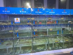 -蟹老板的海鲜