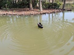 -厦门园林博览苑