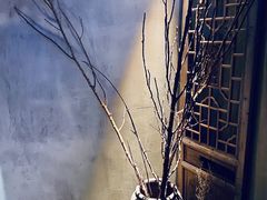 -都氏家DUSJOY(翡翠城店)