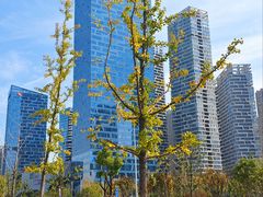 -天鹅湖体育公园