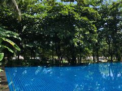 -三亚湾海居铂尔曼度假酒店