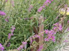 -南宫温泉水世界