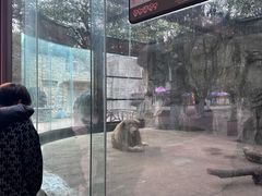 -南昌动物园