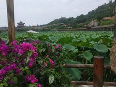 -渭南桃花源民俗文化园