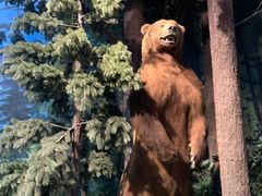 -陕西自然博物馆