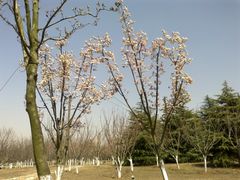 -白塘生态植物园