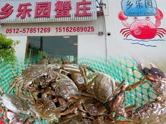 -乡乐园蟹庄·阳澄湖农家乐