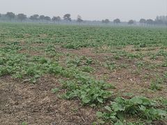 -汉长安城未央宫国家考古遗址公园