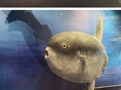 -长江文明馆