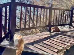 -终南山南五台景区