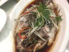 -新开元大酒店(杭州大关店)