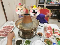 -老毛手抓·盐池滩羊非遗手抓(宁夏总店)