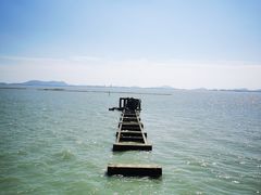 -贡湖湾湿地公园