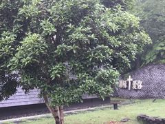 -美丽洲堂