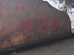 -珍宝岛