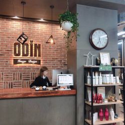 -ODIN 奥丁形象设计 