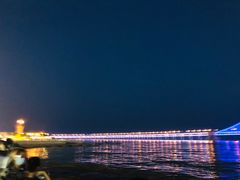 -星海湾跨海大桥