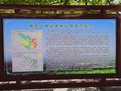 -镇龙山国家森林公园