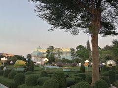 -富贵黄金屋