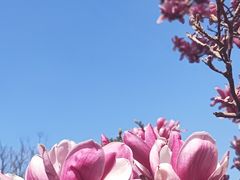 -泗泾镇社区文化活动中心