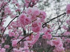 -长廊欢乐园