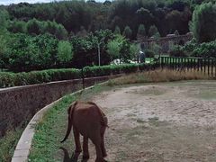 -哈尔滨北方森林动物园